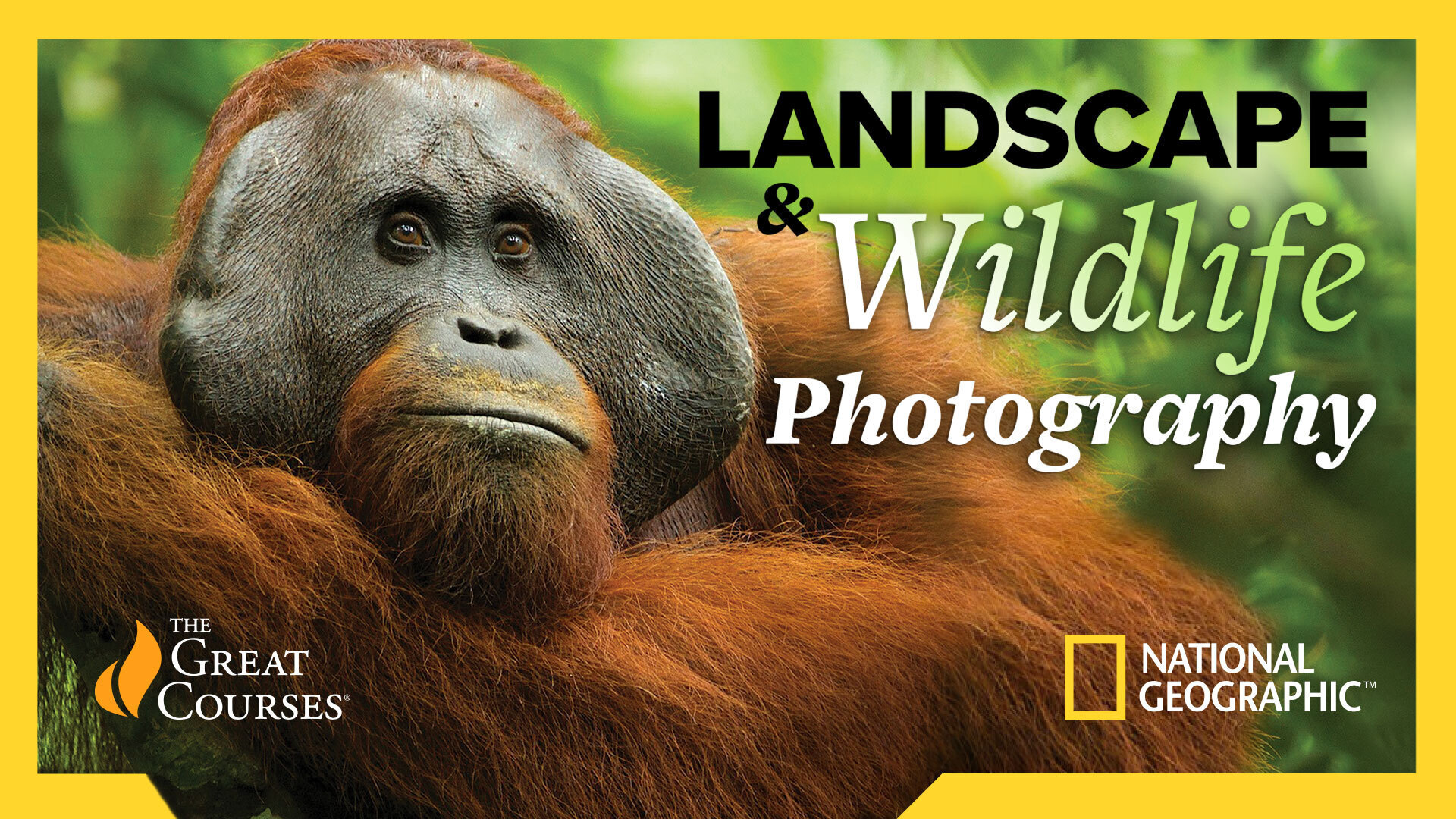 National Geographic Guide To Landscape And Wildlife Photography