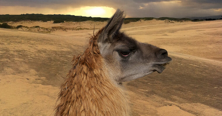 After Effects Guru – Working with Photoshop Files