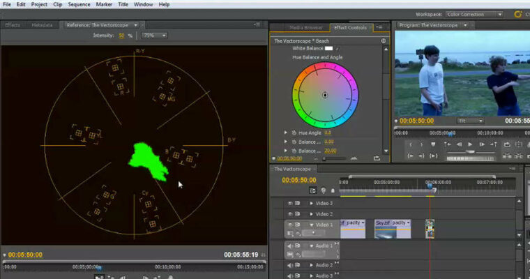 Color for Video Editors