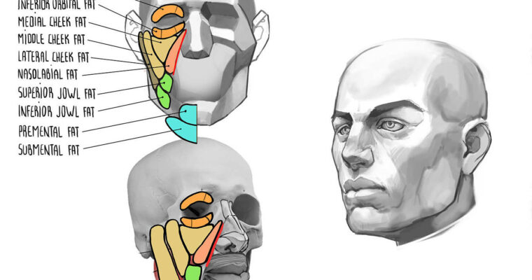 ART School by Marc Brunet (Term 2)