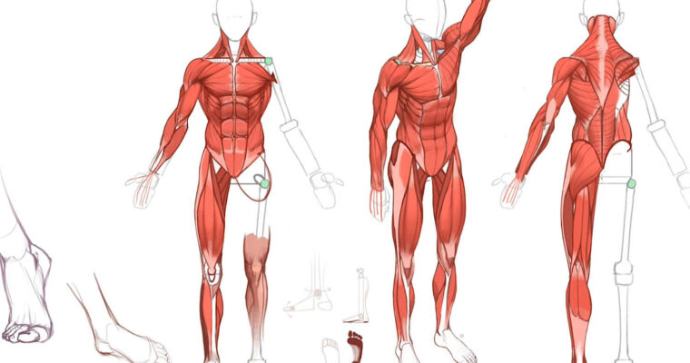 ART School by Marc Brunet (Term 4)