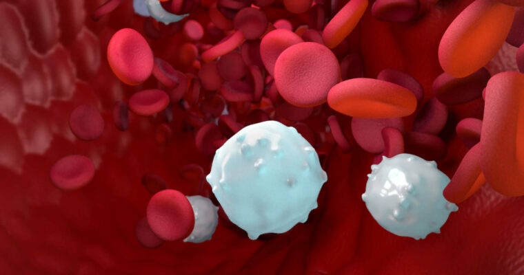 Maya Fundamentals of Medical Animations