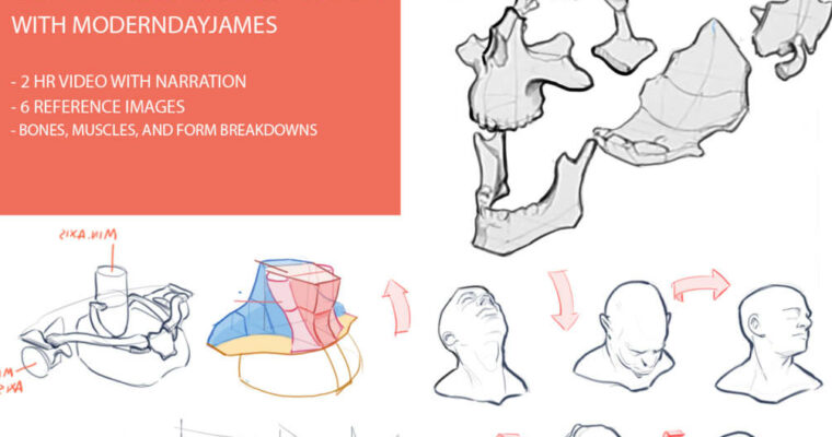 Anatomy 1 – Head And Neck by James Douglas (moderndayjames)