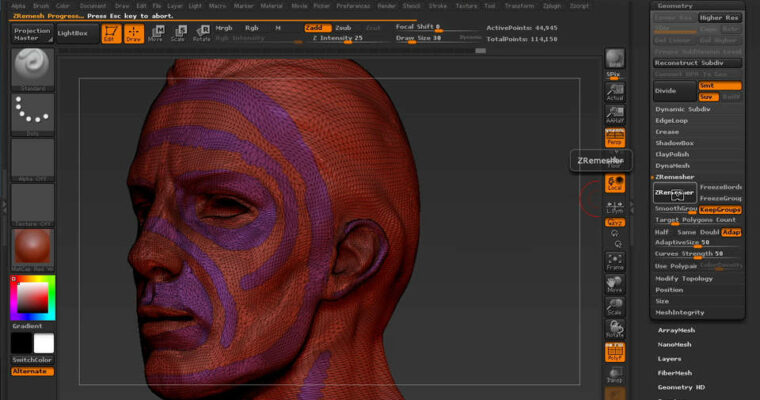 Managing Edge Flow in ZBrush