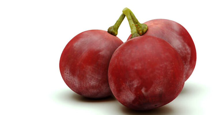 Maya – Advanced Materials