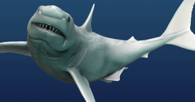 ZBrush 4R8 New Features