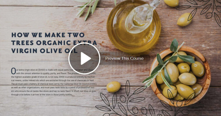 InDesign CC 2019 Essential Training