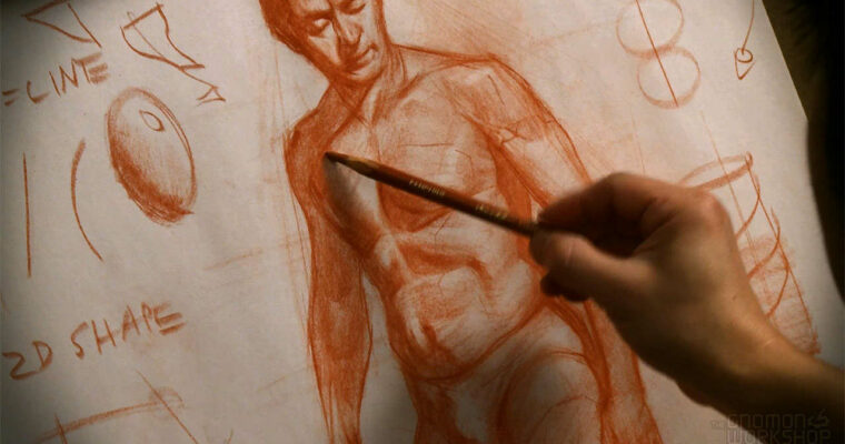 Anatomy Workshop Volume 2 Anatomy Workshop Volume 2