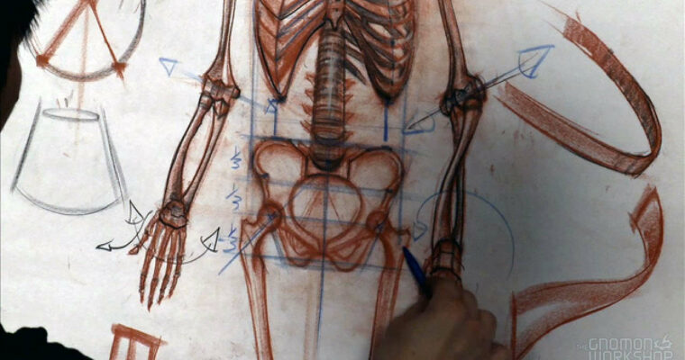 Anatomy Workshop Volume 3 Anatomy Workshop Volume 3