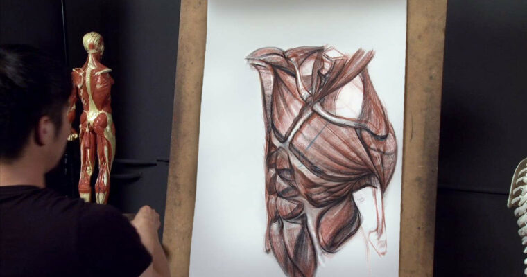 Anatomy Workshop Volume 5 Anatomy Workshop Volume 5