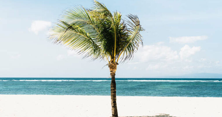 Save Time & Add Style – How to Master Photoshop Actions