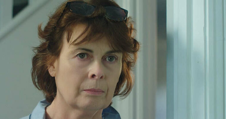 Practical Beauty Color Grading Level One – Quick and Effective