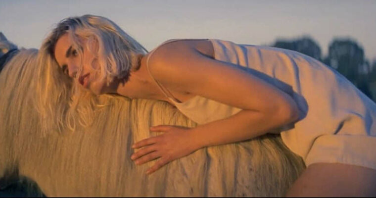 Rediscover The Basics – Contrast