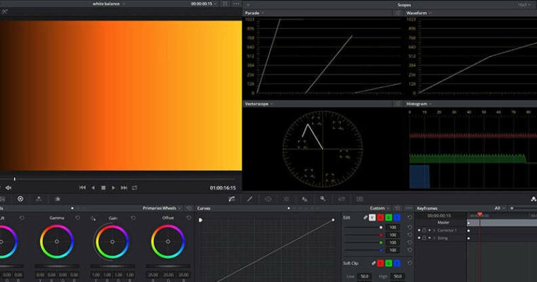 White Balancing Shots – Understanding Temp and Tint Controls – Part 3