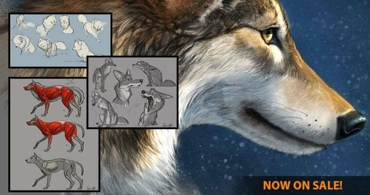 Aaron Blaise – How to Draw Wolves, Coyotes & Foxes