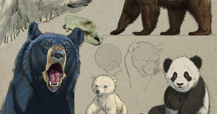 How to Draw Bears – Aaron Blaise