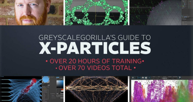 Guide to X-Particles Guide to X-Particles