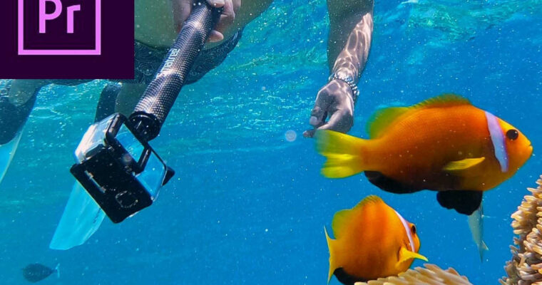 Adobe Premiere CC 2019 Quickstart Zero To Hero Adobe Premiere CC 2019 Quickstart Zero To Hero