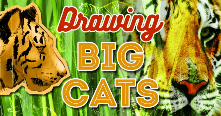 Drawing Big Cats – Everything You Need to Draw Lions and Tigers…oh my!