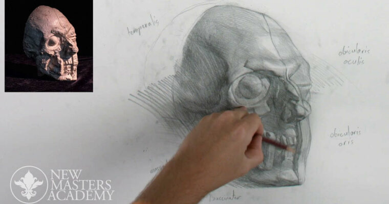 Russian Academic Drawing Approach – Iliya Mirochnik