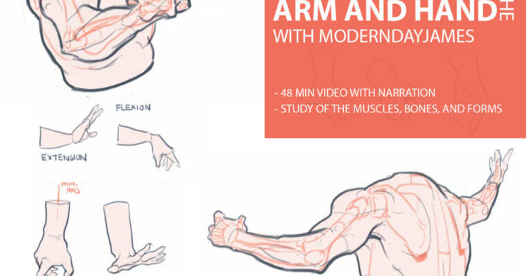 Anatomy 4 – Arm and Hand