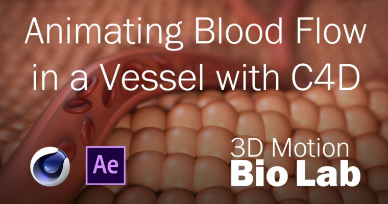Animating Blood Flow in a Vessel with C4D
