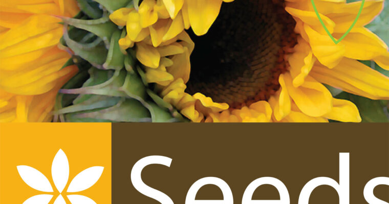 Cert Prep – Adobe Certified Associate – Illustrator