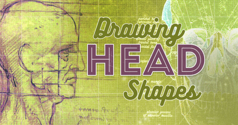 Drawing Head Shapes