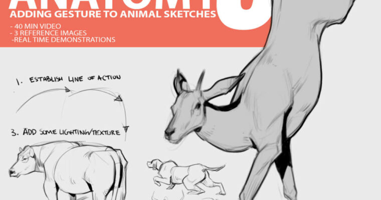 Animal Anatomy 3 – Adding Gesture To Animal Sketches James Douglas