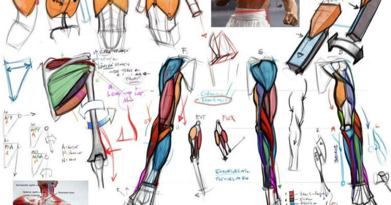 Analytical Figure Drawing – Michael Hampton