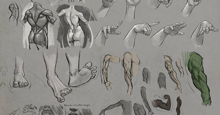 Drawing Human Anatomy – Art of Aaron Blaise