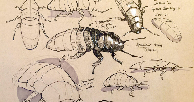 Dynamic Sketching 2 with Peter Han