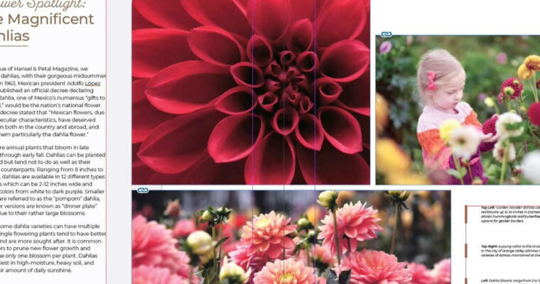 InDesign 2020 Essential Training