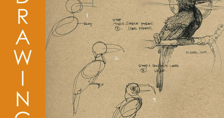 Term 10 – Dynamic Sketching Organics