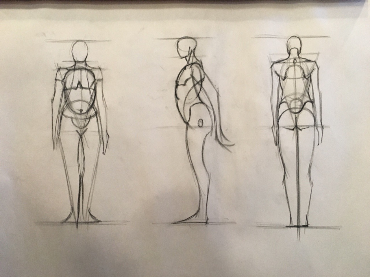 Quick Sketches From The Wooden Mannikin  Ideal Proportion