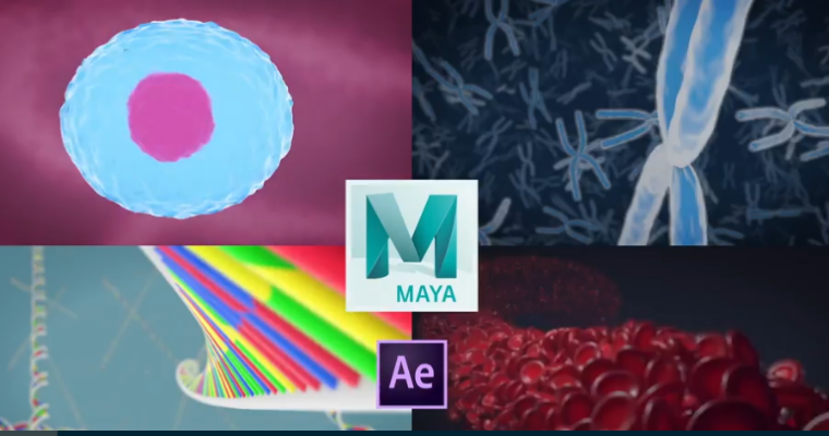 3D Medical Animation in Autodesk Maya