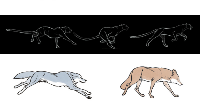 4 Leg Animation Bundle (NEW Update!) by Aaron Blaise