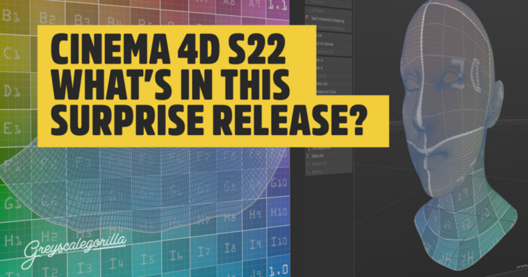 Guide to Cinema 4D ( + S22 Training )