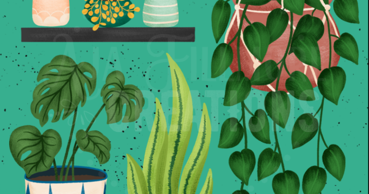 Digital Illustration Draw A Vertical Garden on iPad