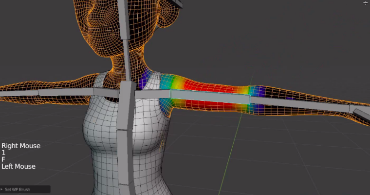 Weight Painting Weight Painting