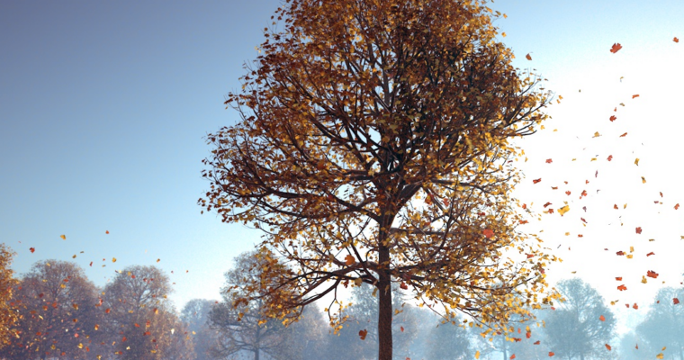 Cinema 4D Tutorial  Natural Environments from Marijn Raeven