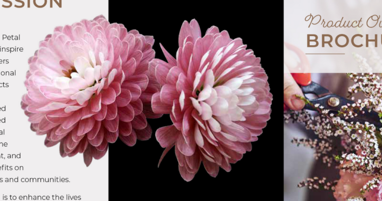 InDesign 2020 New Features