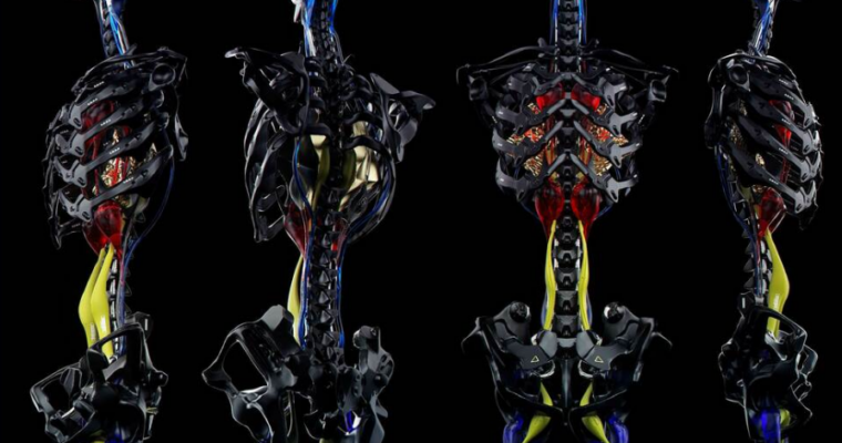 Endo Skeleton Tutorial