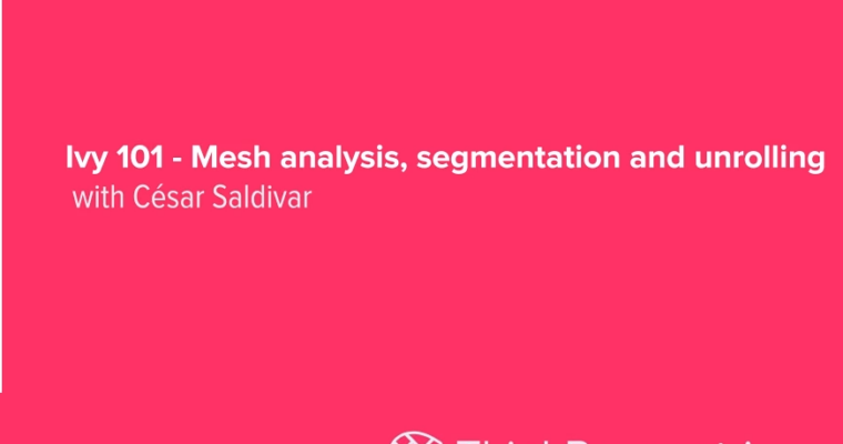 IVY 101 – Mesh analysis, segmentation and unrolling