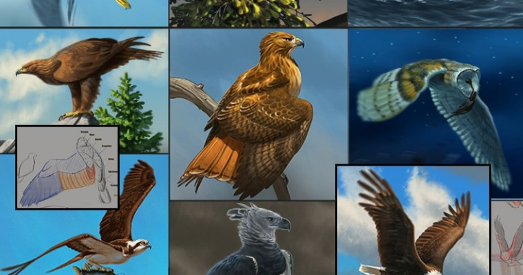 How to Draw Birds of Prey with Aaron Blaise