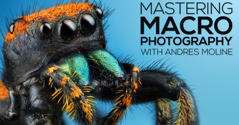 Mastering Macro Photography – The Complete Shooting and Editing Tutorial With Andres Moline Mastering Macro Photography – The Complete Shooting and Editing Tutorial With Andres Moline