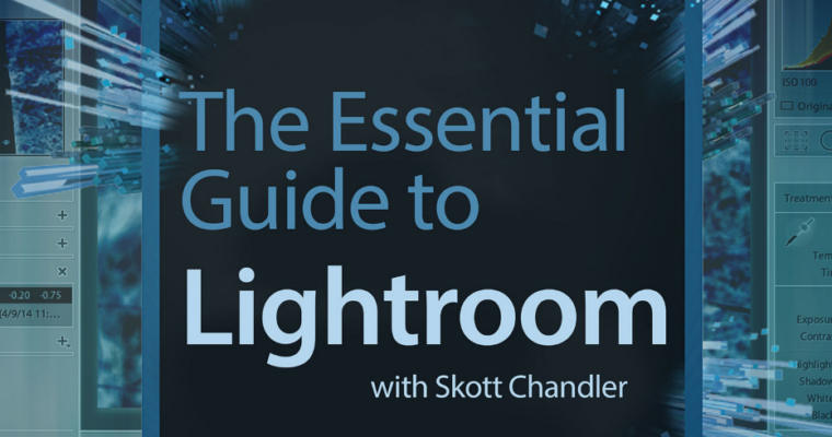 The Essential Guide to Lightroom