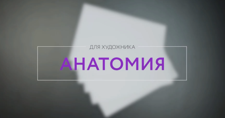 Anatomy for Artists by Artyom Zigura (Анатомия для художника – Russian, Eng sub)