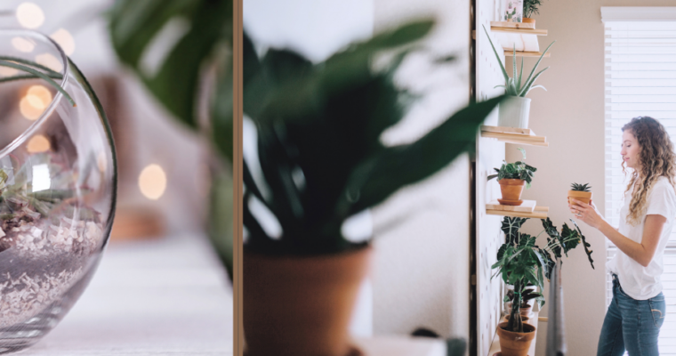 InDesign 2021 Essential Training