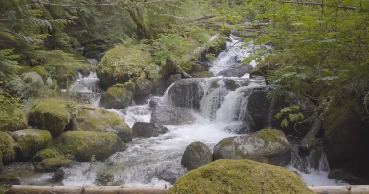 Ian Hubertz Tutorials Bundle